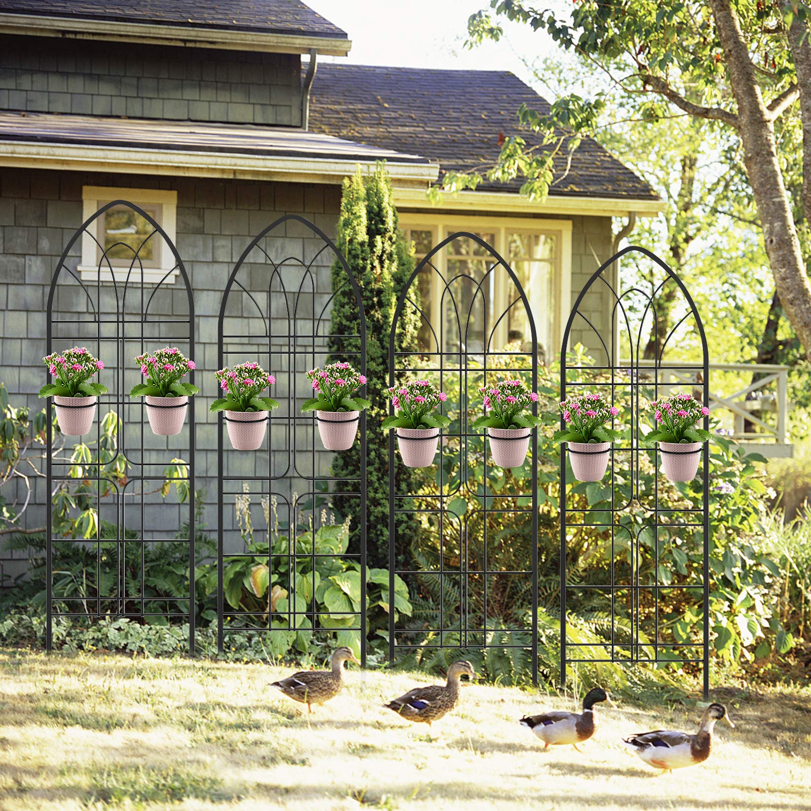 Buy Amagabeli Garden Trellis 72” x21” x 4 Pack Heavy Duty Rustproof