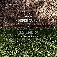 Vista 6 de Mezcla de semillas de césped Scotts Turf Builder Rapid Grass Sun & Shade Mix de doble crecimiento rápido para sombra y sol; combinación de semillas