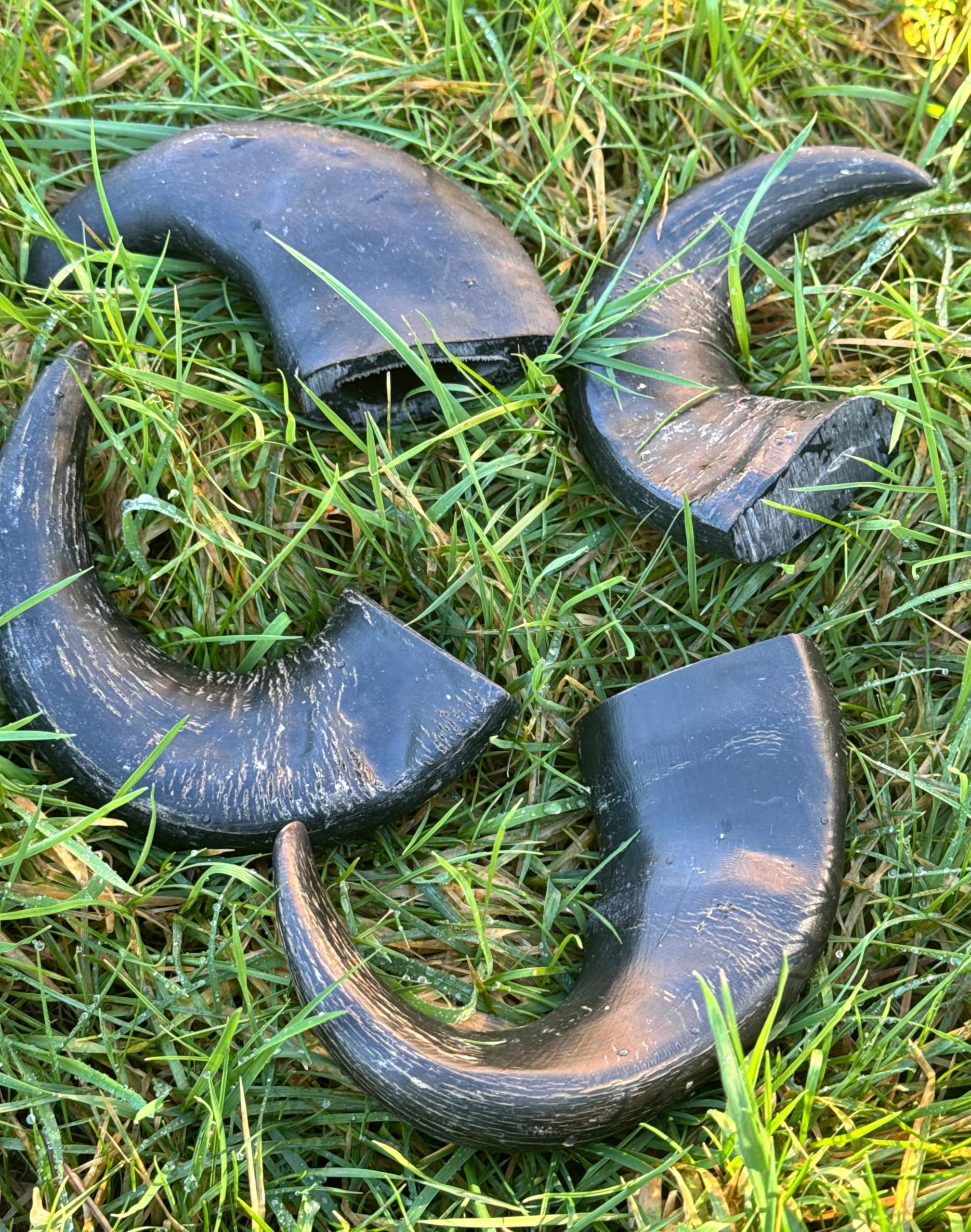 4 x Small Buffalo Bull Horn (90-150 gms each) 100% Natural Dog Treats Chews - Long Lasting, each packed in separate bag (4 horns)