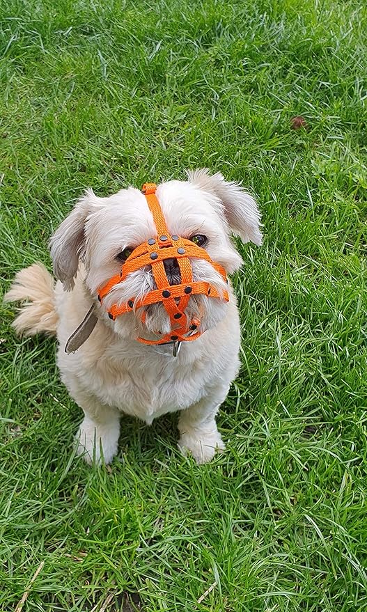 shih tzu muzzle