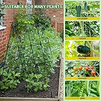 Vista 3 de Enrejado de pepino de jardín para plantas trepadoras al aire libre, marco A de 50 x 48 pulgadas, enrejado de pepino para cama elevada de jardín
