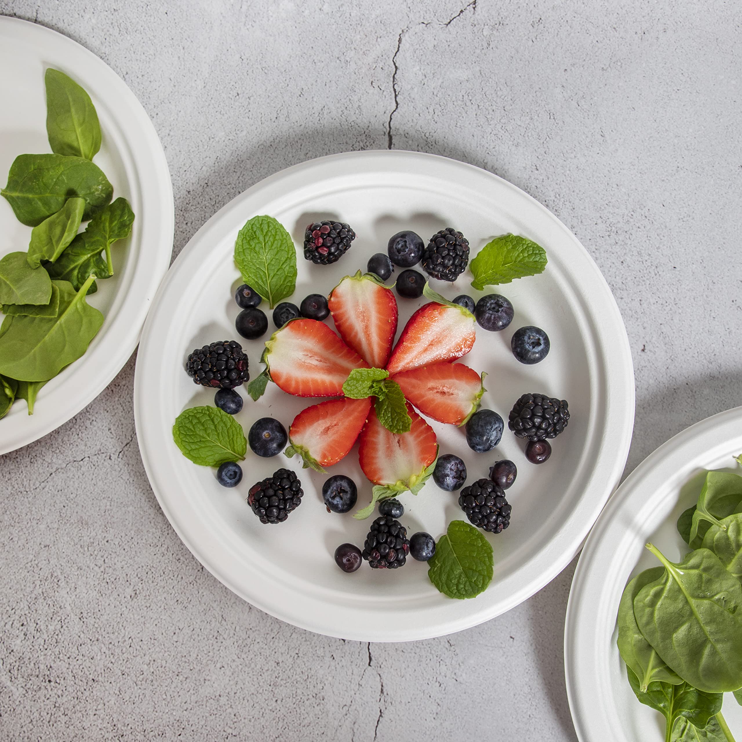 Platos de papel blanco, 10 pulgadas, 150 unidades, fibra de caña de azúcar de grado alimenticio, compostables y biodegradables, aptos para microondas, resistentes al calor y al frío, platos