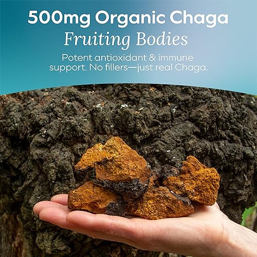 Miniatura 2 de Gomitas de hongos Chaga Detox - Suplemento de apoyo inmunológico antioxidante y hongos - 250 mg de cuerpos fructíferos - Suplementos de claridad