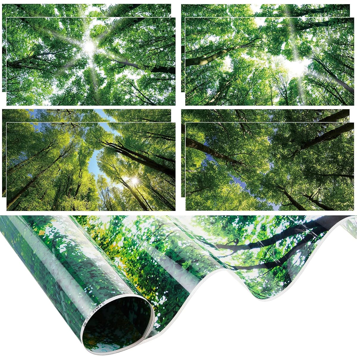 Amylove 8 Pcs 4 x 2 Feet Backlit Film Material Fluorescent Light Covers
