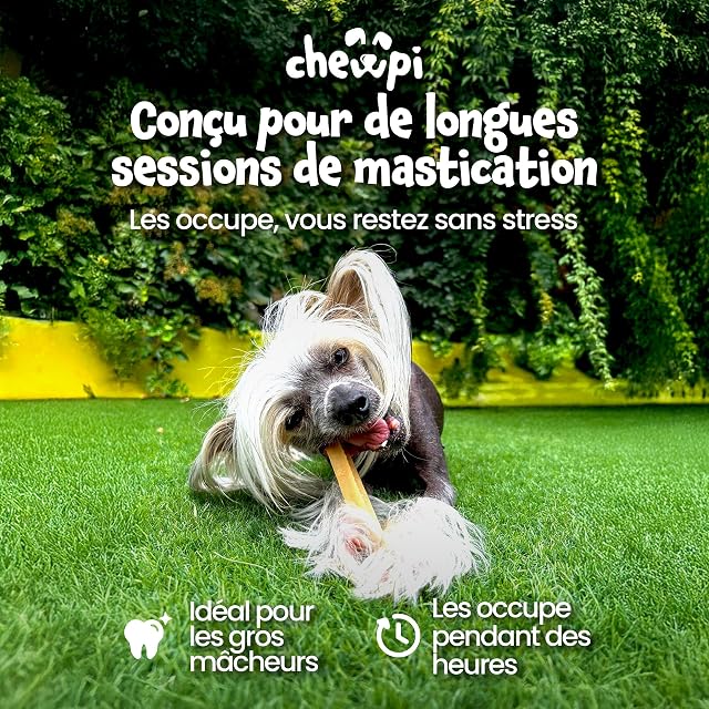 Foto 5 de 8 de Huesos de Queso para Perros S - Pack de 8 - Churpi Himalaya para Perros