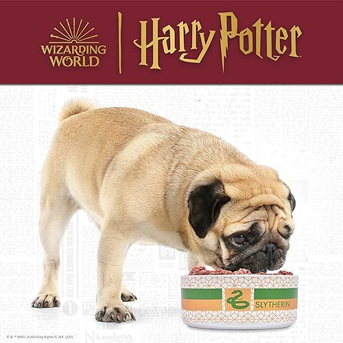 Miniatura 2 de Harry Potter Slytherin - Tazón para mascotas, cuenco de alimentación para perros o gatos, capacidad de 3.5 tazas o 28 onzas, plato de cerámica apto