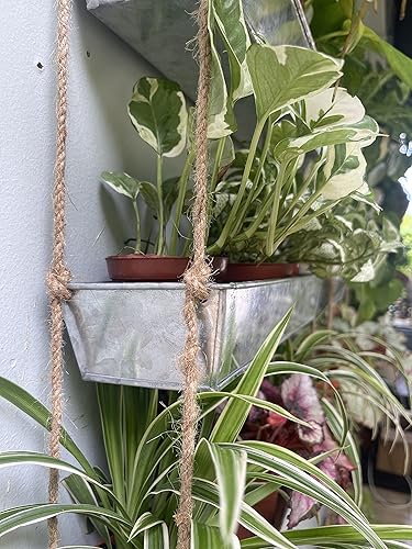 Miniatura 3 de LaLaGreen - Maceta colgante de pared de 16 pulgadas, macetas de 3 niveles para suculentas, ventana de metal plateado para hierbas, jardín,