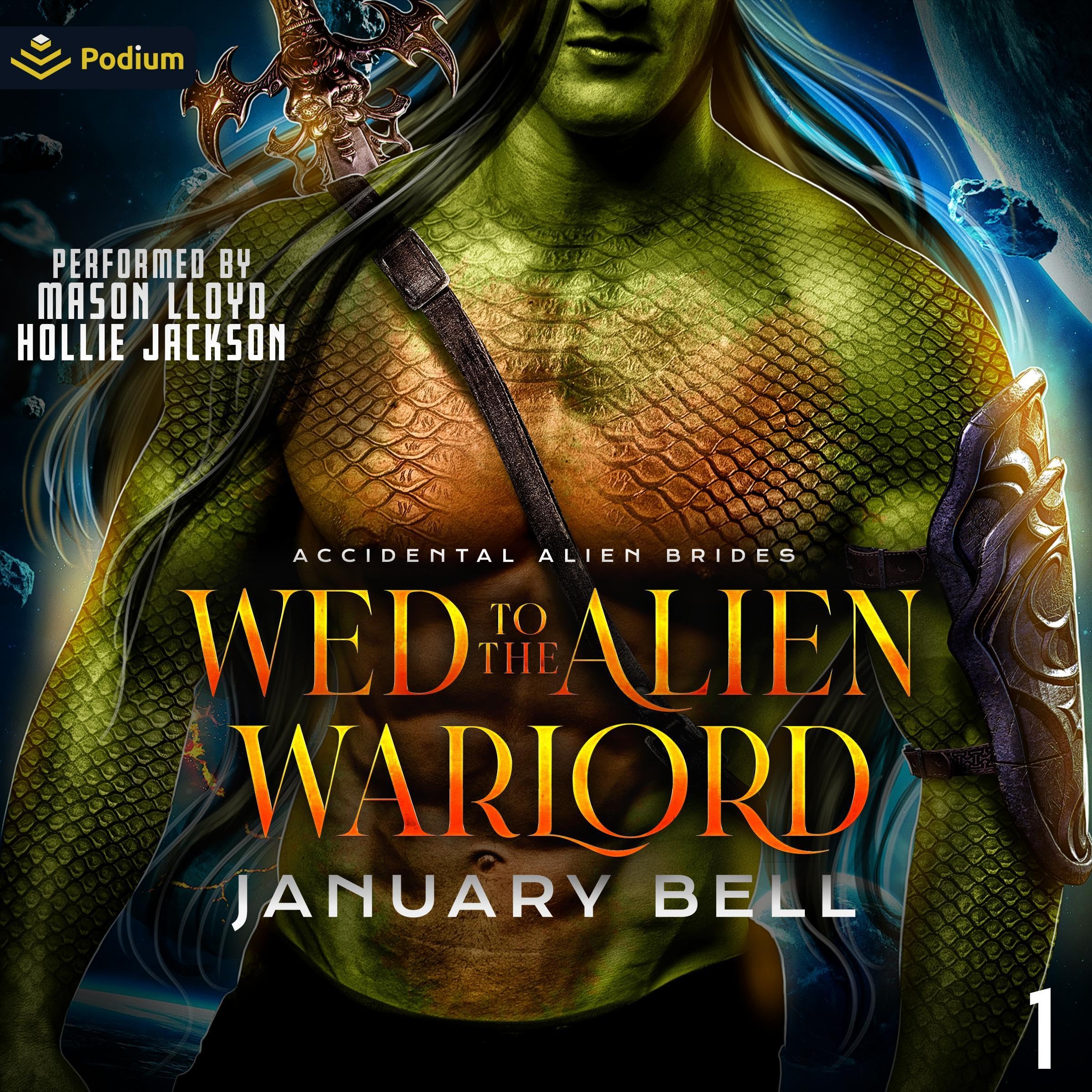 Cover art for Wed to the Alien Warlord