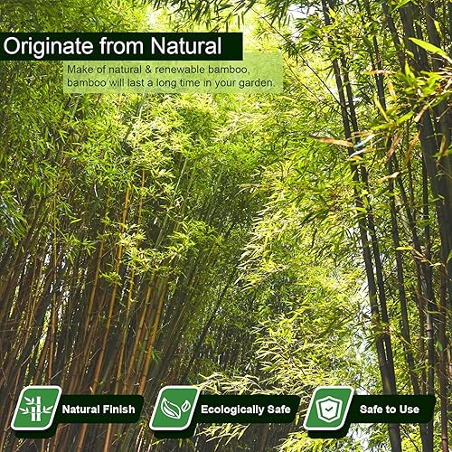 Miniatura 2 de Jollybower 15 piezas de estacas de bambú de 34" de diámetro más gruesas y resistentes de alta calidad, estacas para plantas de 7 pies, estacas de