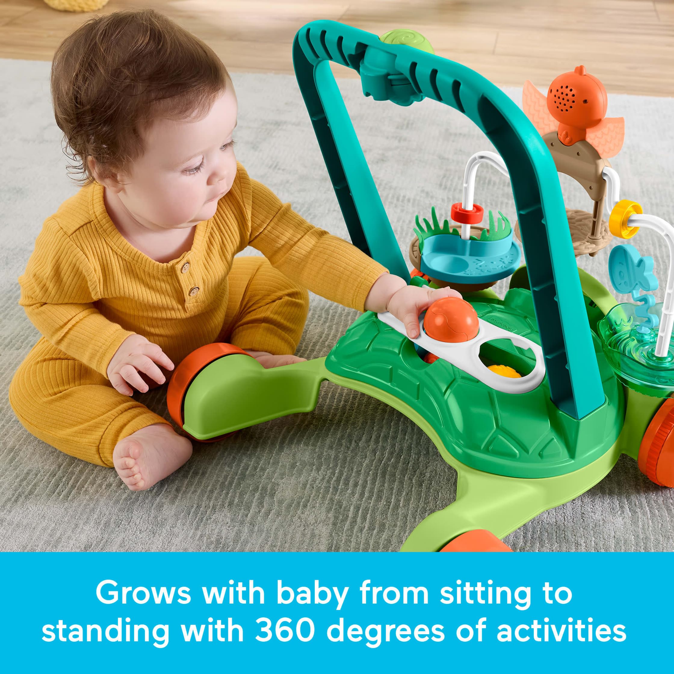 Fisher-Price Baby-Ringe, Schildkröte, erste Schritte, 6 m