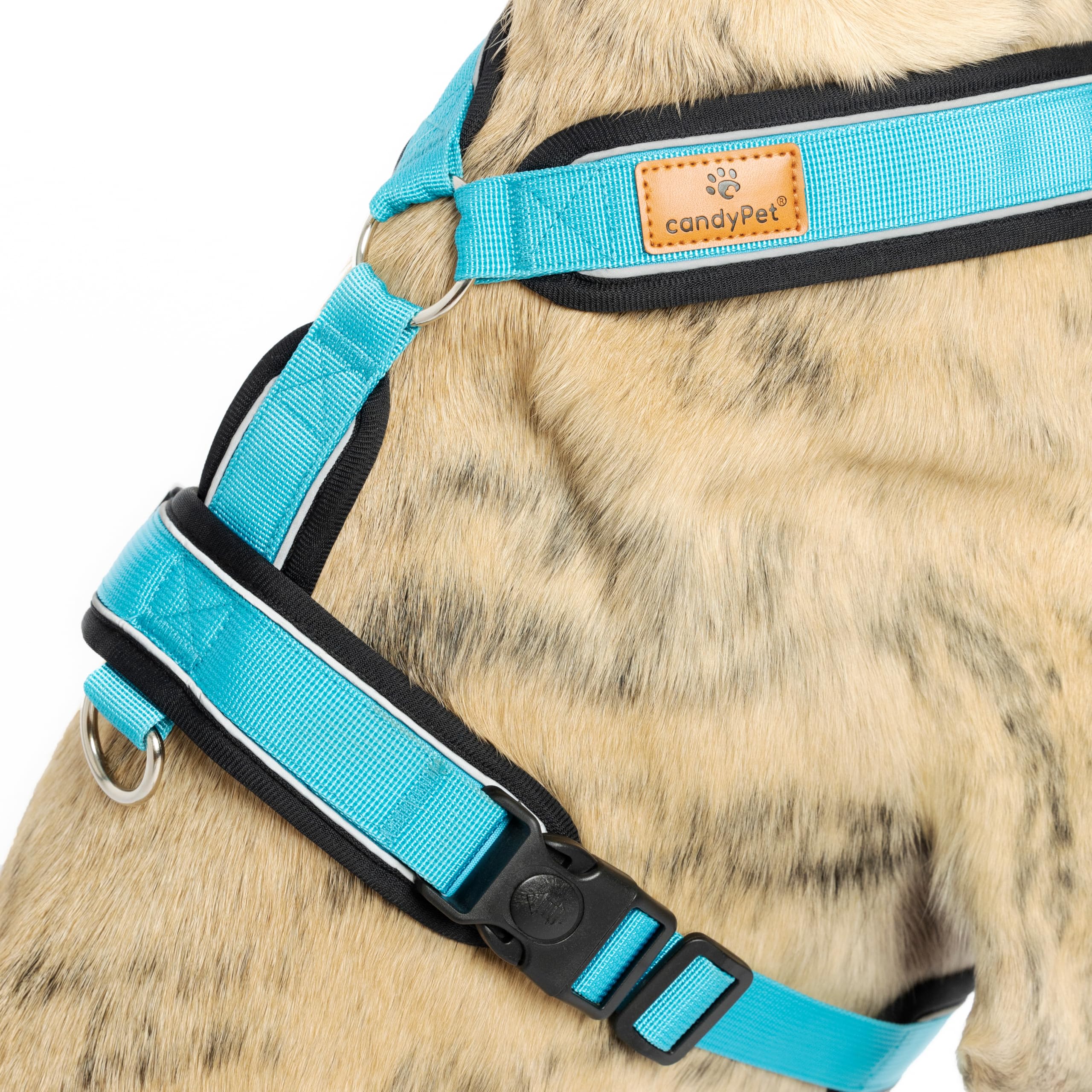 Imbracatura Riflettente Anti-Tirare a Forma "Y"- Ideale per Lebreles: Levriero Italiano, Whippet, Levriero, Podenco - Sicuro, Traspirante e Durevole - Perfetto per Camminare, Allenare e Correre -