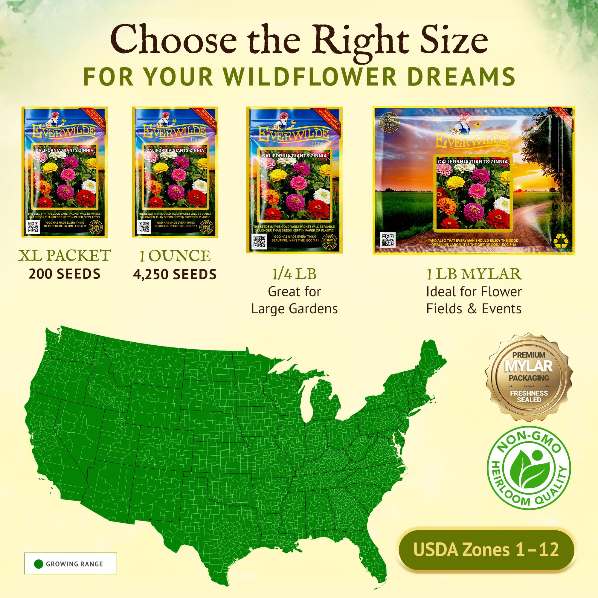 Amazon.com: Everwilde Farms - 1 盎司(約28.3 毫升)加州巨人混合百尼花野花種子- 金色金庫: 露臺、草皮與花園