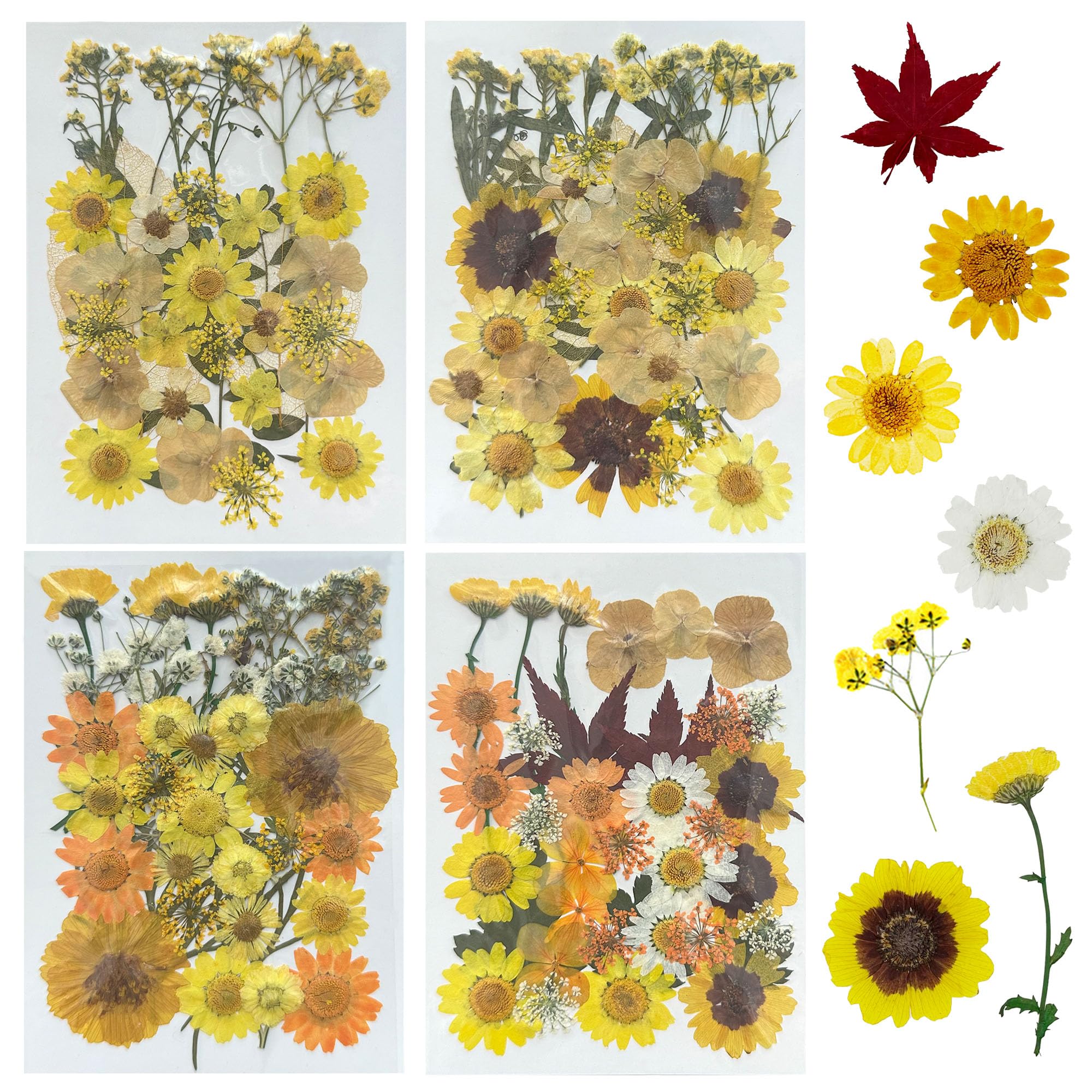Woohome 4 Pack Dried Flowers for Resin Molds 137 Pcs Real Natural Dried Pressed Flowers - Image 2