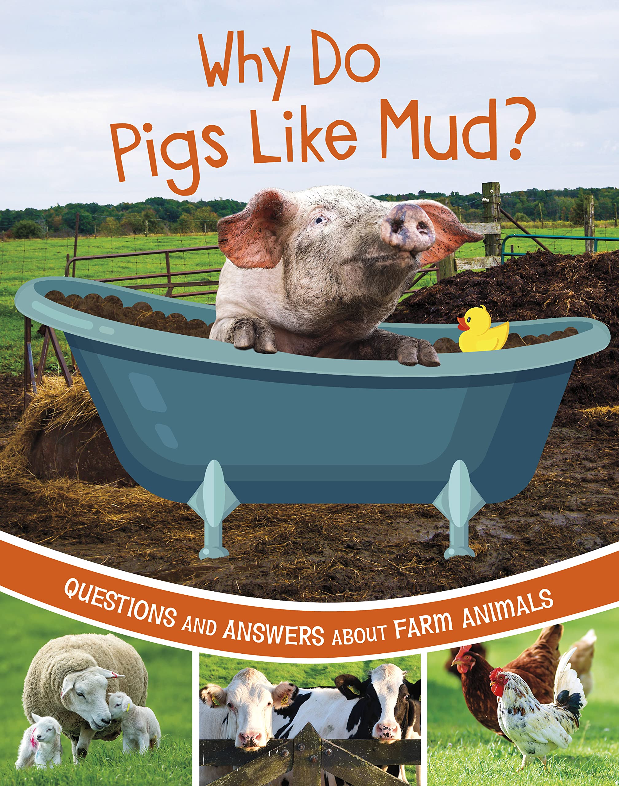 Why Do Pigs Like Mud? by Katherine Rawson (Paperback Book)