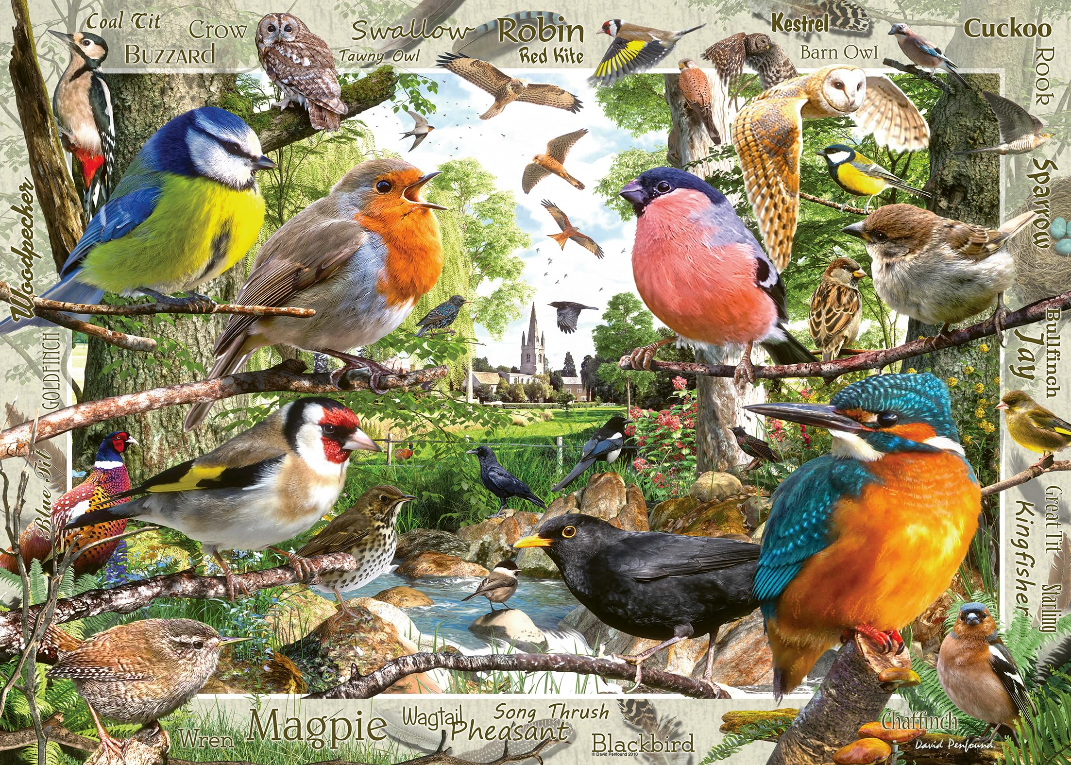Ravensburger 1000 Piece Jigsaw Puzzle Our Feathered Friends