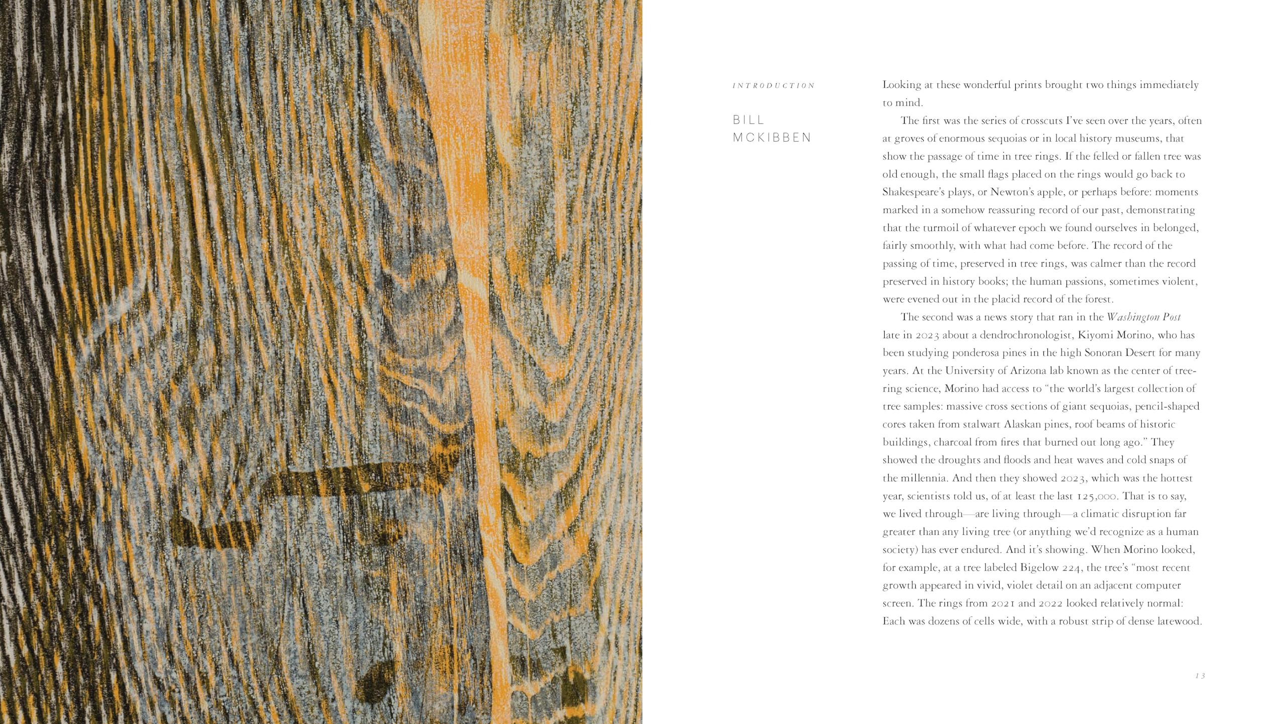 Woodcut (Updated Edition) /anglais