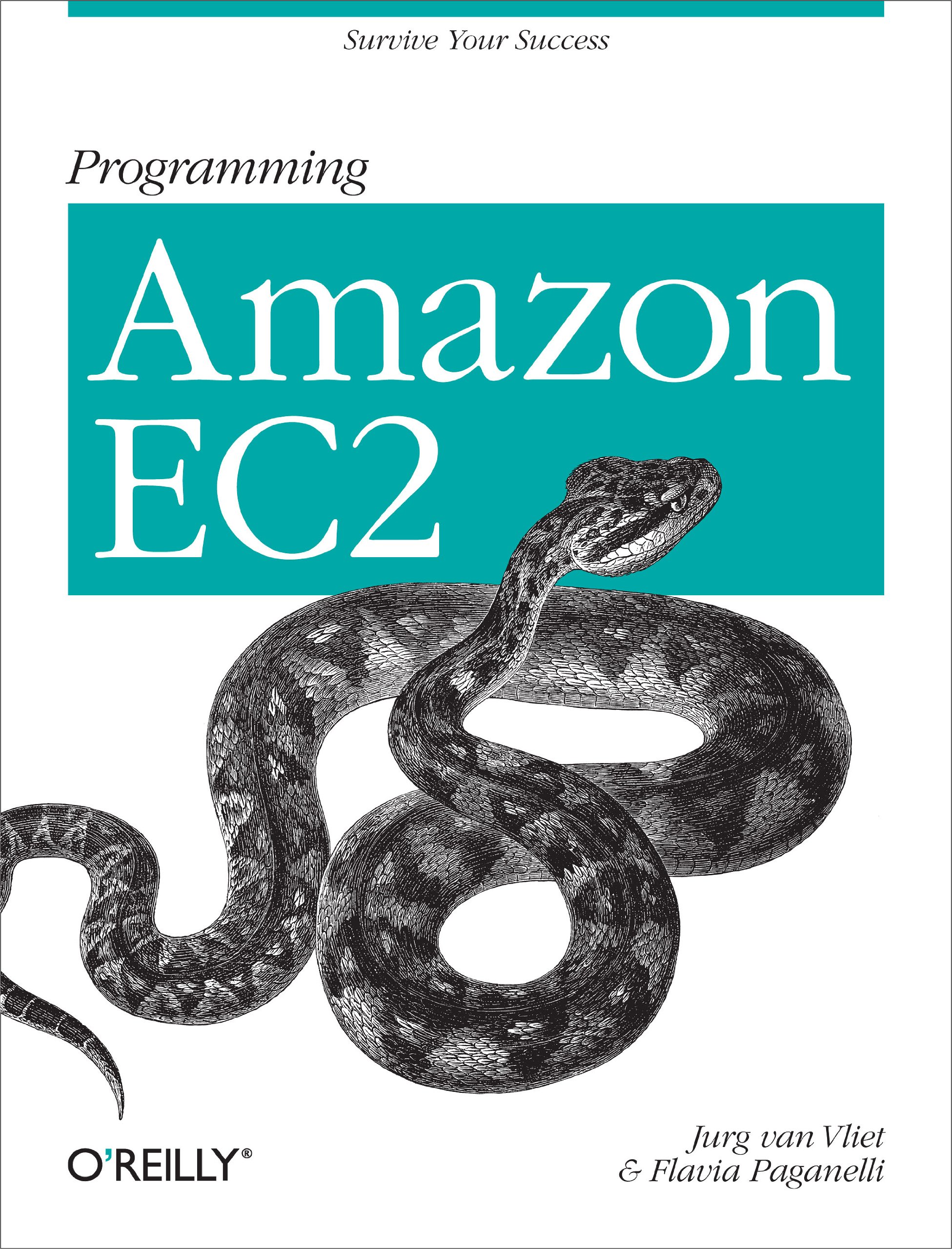 Programming Amazon EC2: Survive your Success