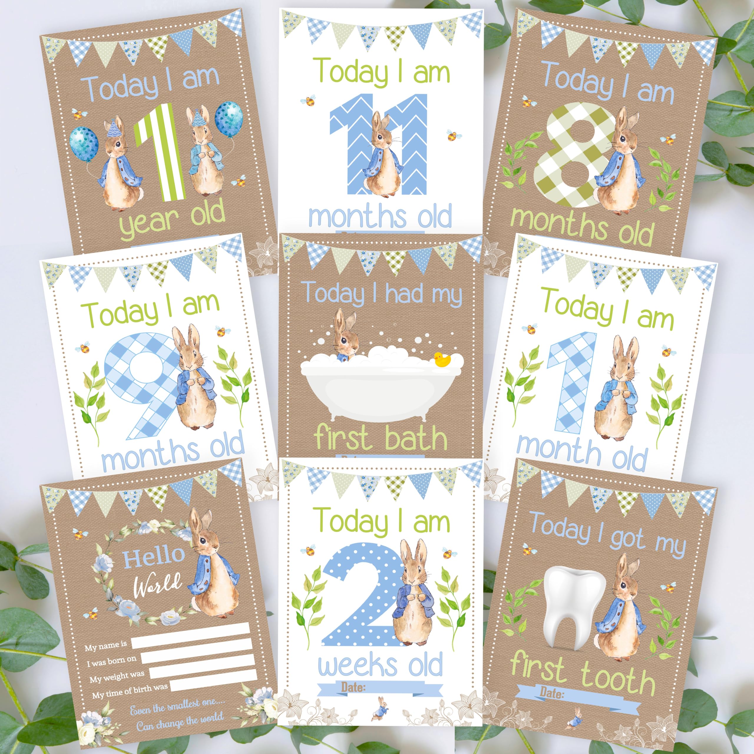 Personal Moments Peter Rabbit Baby Milestone Cards • Baby Shower Milestone Cards Gift • Baby Keepsake Milestone Cards • Beatrix Potter Memory Milestone Cards