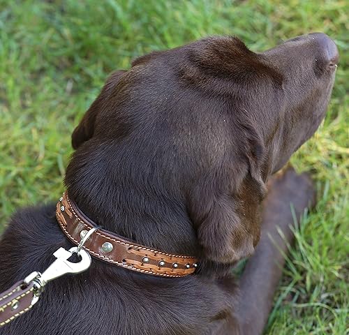 Miniatura 2 de Collar de perro trenzado de cuero genuino, marrón de 1.25 pulgadas de ancho. Se adapta a cuellos de 16 a 20.5 pulgadas.