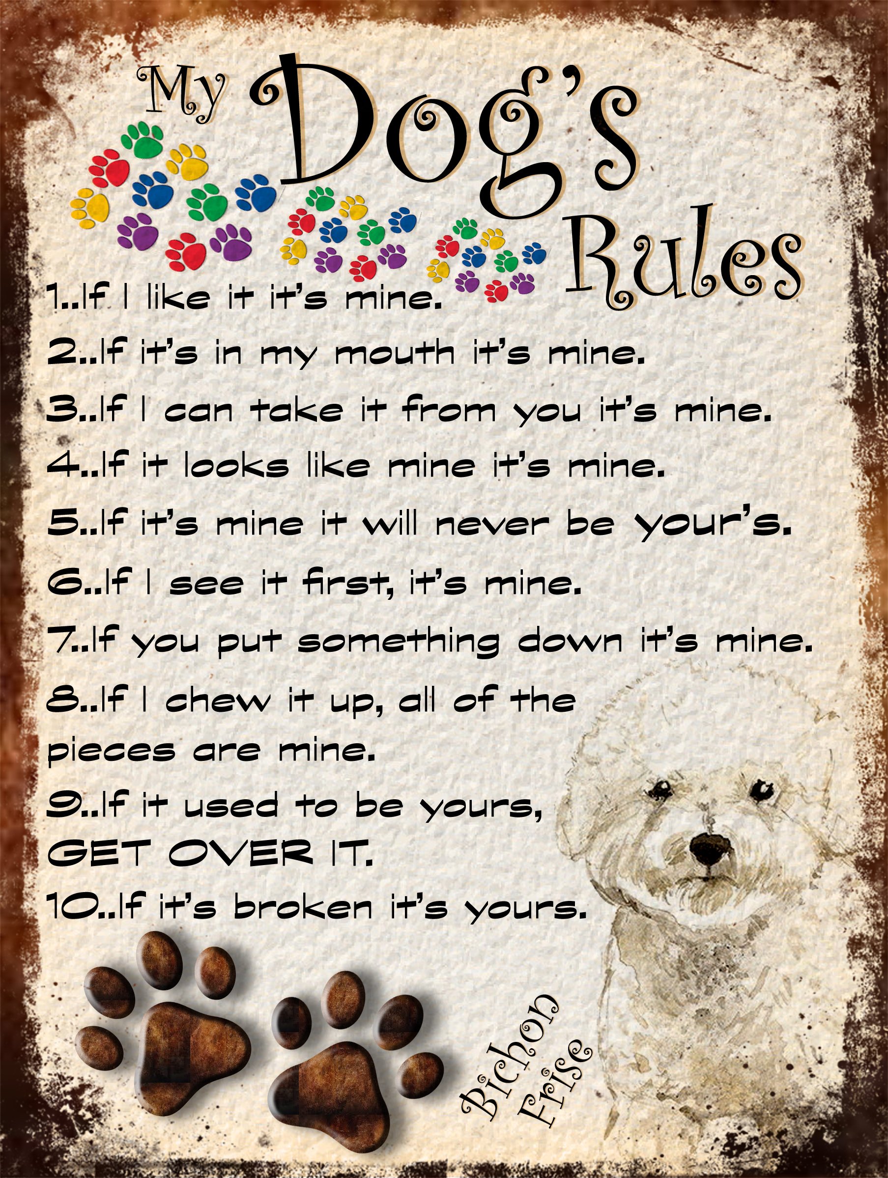 Shawprint Limited Bichon Frise My Dog's Rules Retro Style Metal Tin Sign/Plaque Theme 10" X 8" (47Drm)