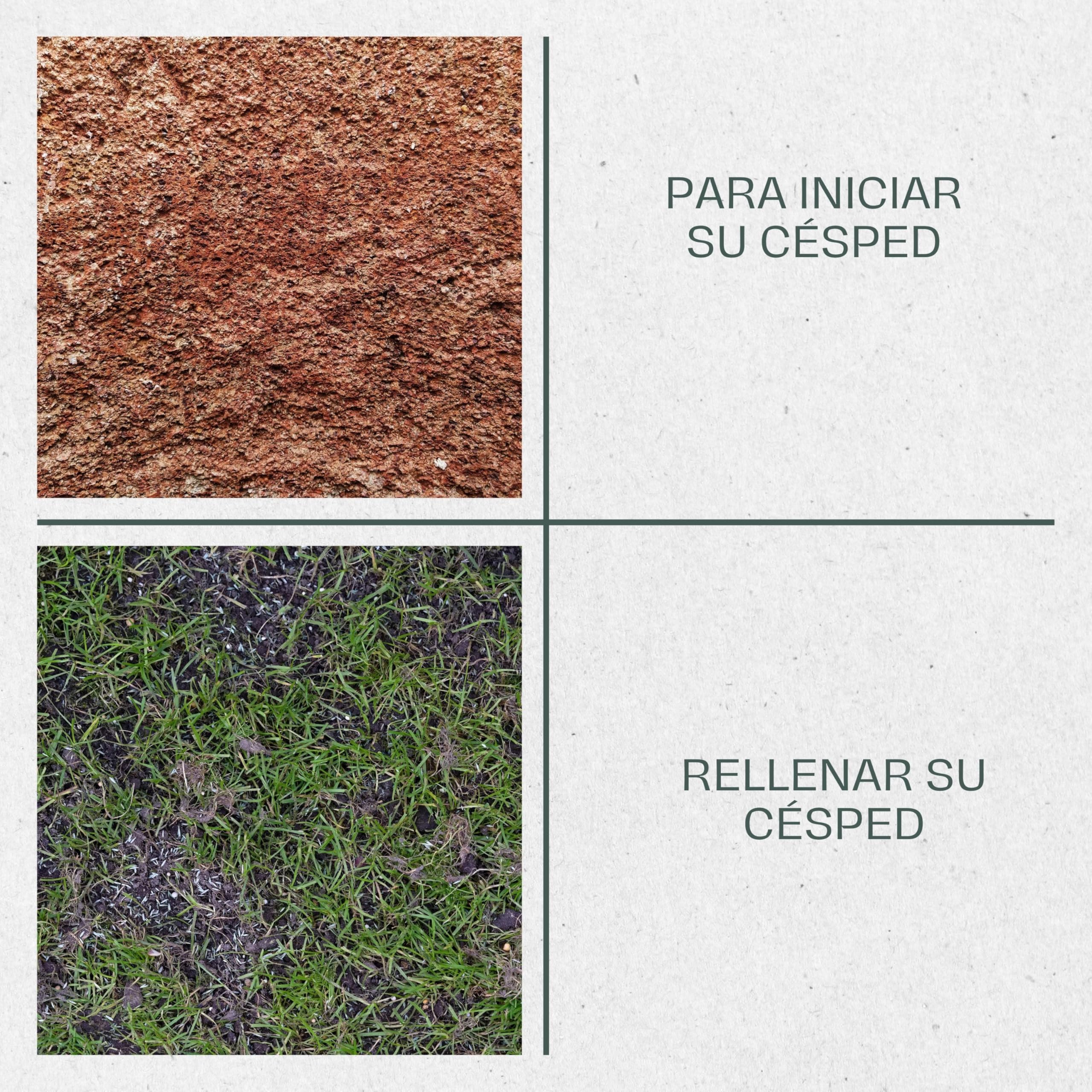La Plaine Chassart - Semillas para Césped 10KG - Cubre Grandes Superficies con Crecimiento Rápido