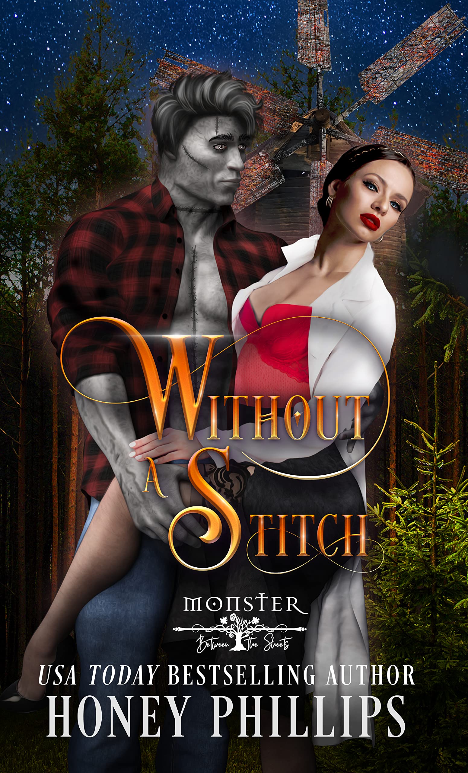 Cover of Without a Stitch
