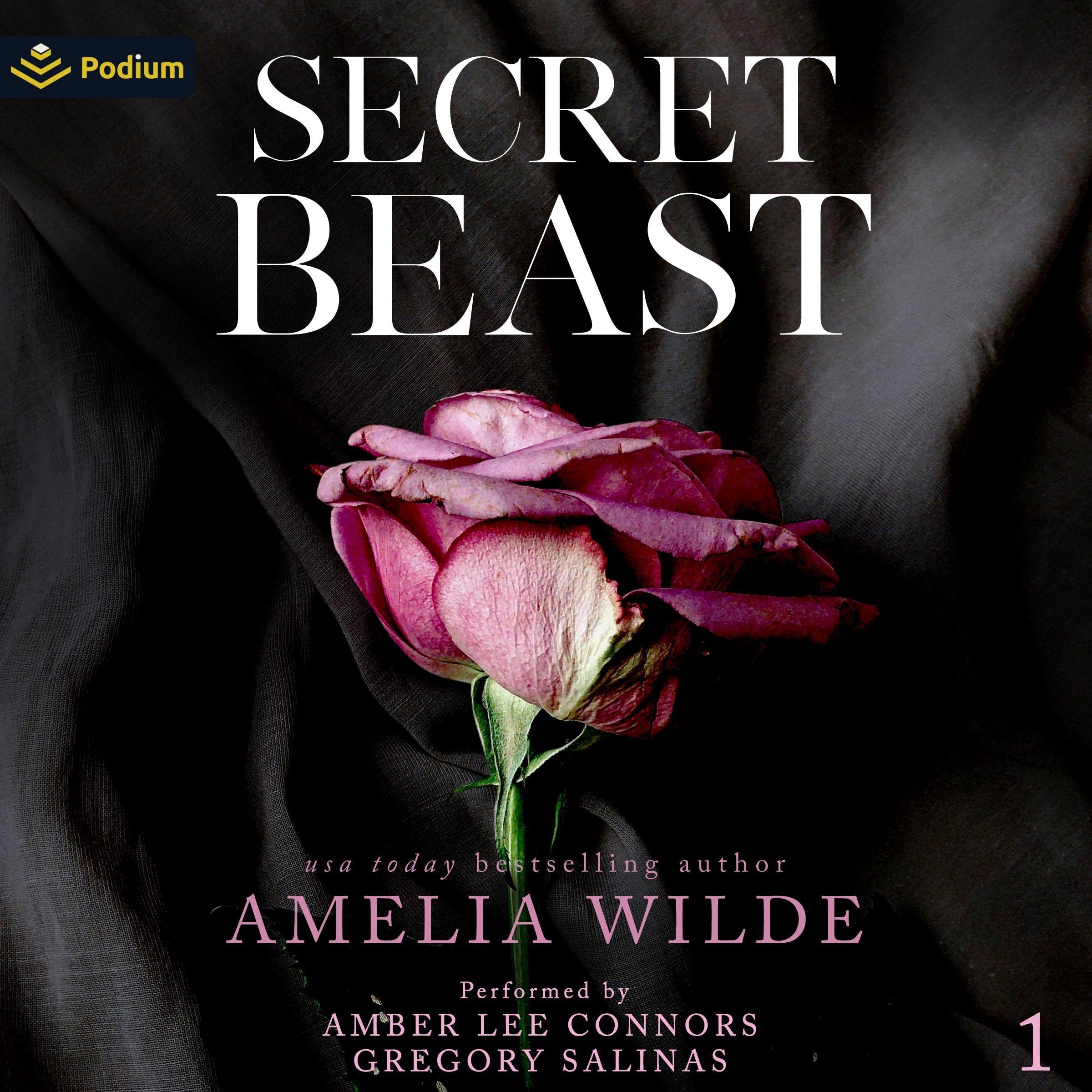 Cover art for Secret Beast