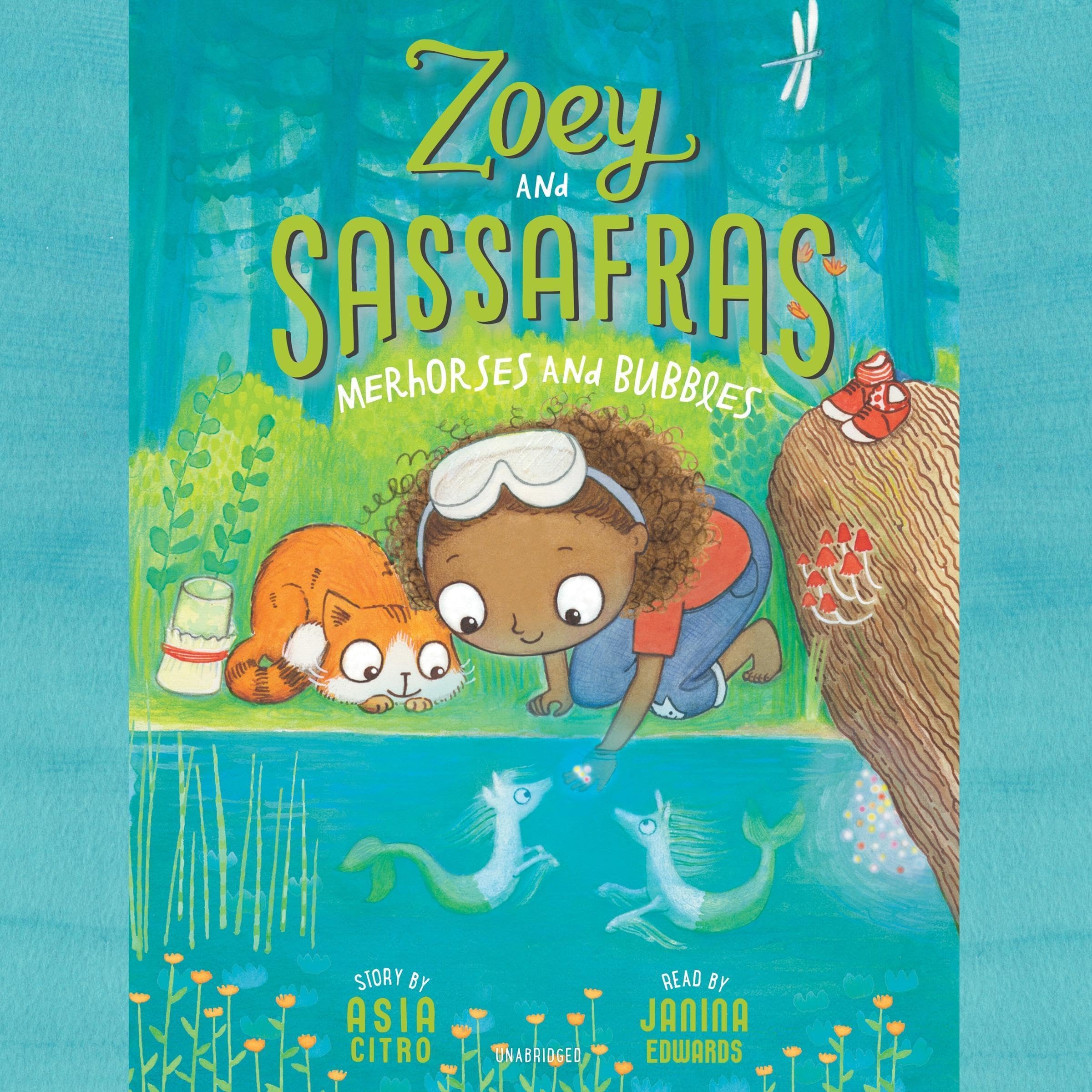 Cover art for Merhorses and Bubbles