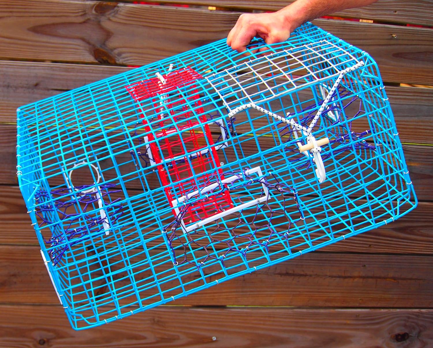 Maryland Blue Crab Pot – Recreational Saltwater Crab Pot Fishing Gear – PVC Coated Wire – Multiple Sizes with Optional Buoy Kit