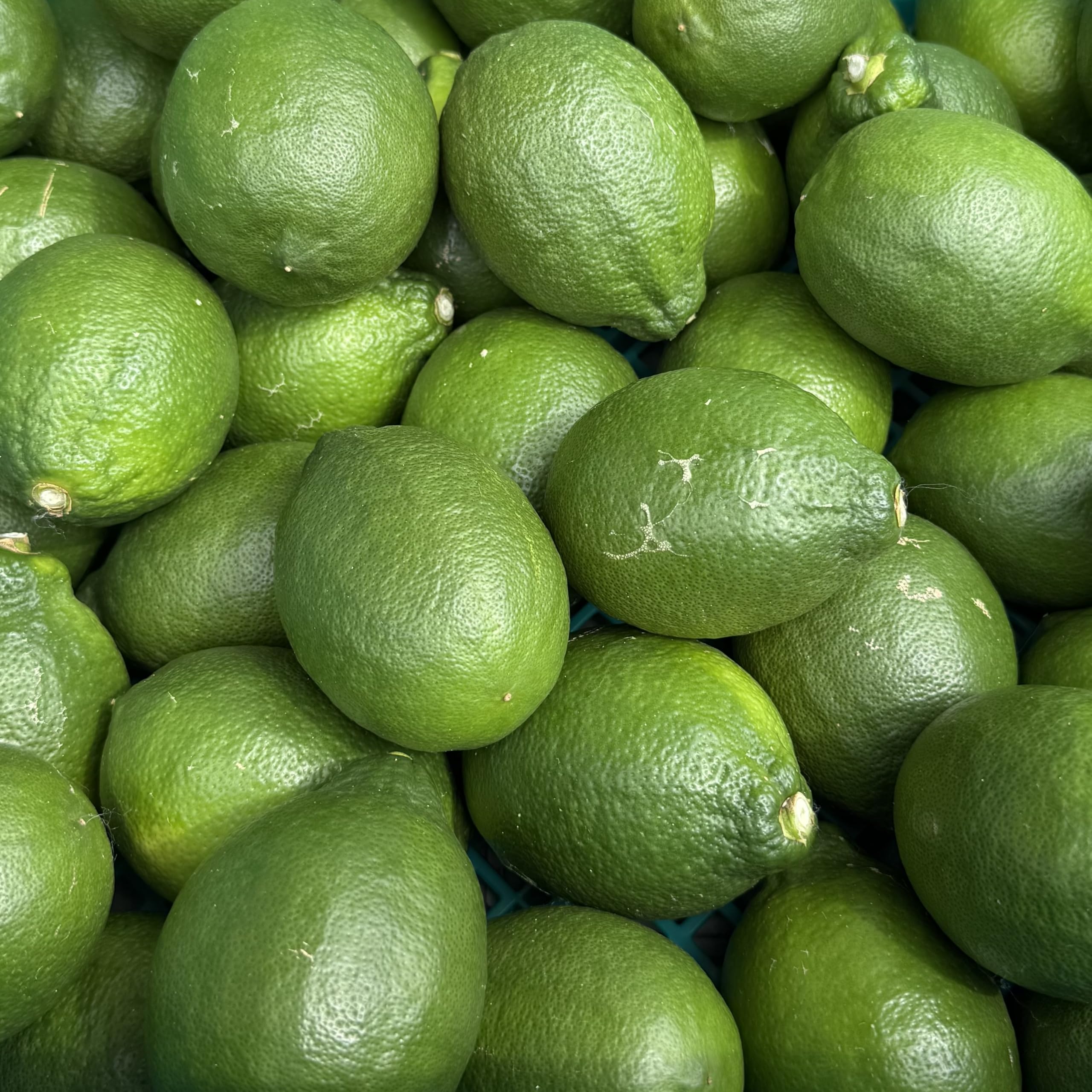 Amazon.co.jp: 皮ごと食べれる 国産レモン 箱込約1kg以上（およそ5~14
