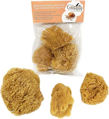 Esponjas de mar naturales de cangrejo ermitaño, extra grandes, sin blanquear, 3 a 4 pulgadas, paquete de 3, proporciona nutrientes, beber más seguro