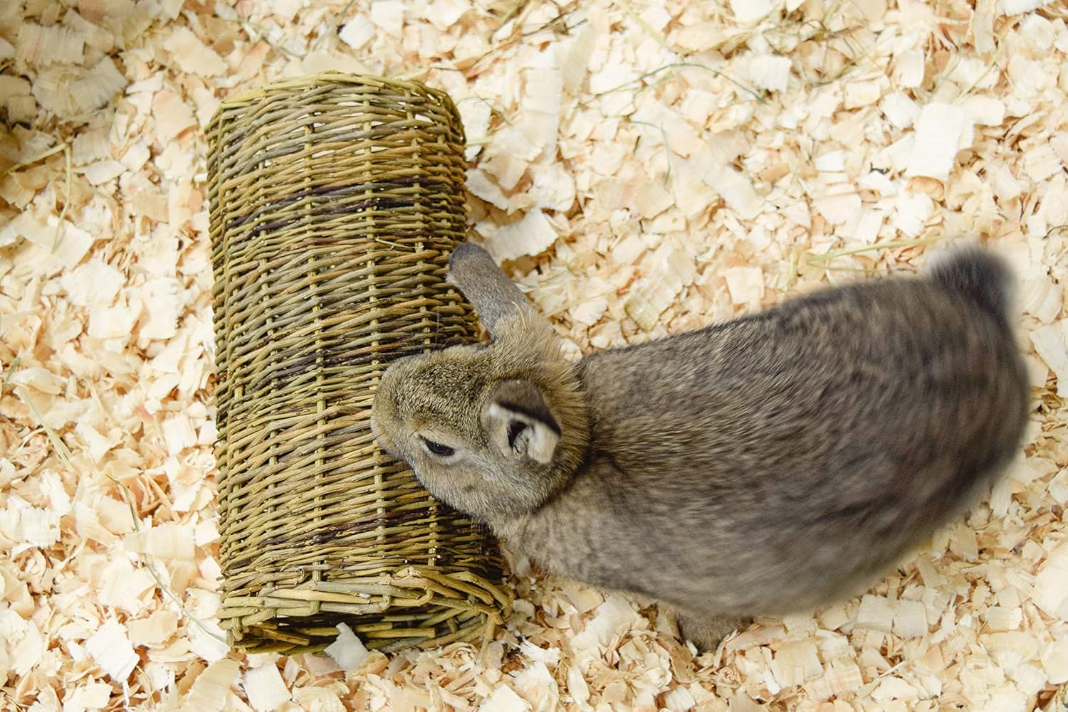 HAPPYPET Nature First Large Willow Tube for Small Animals