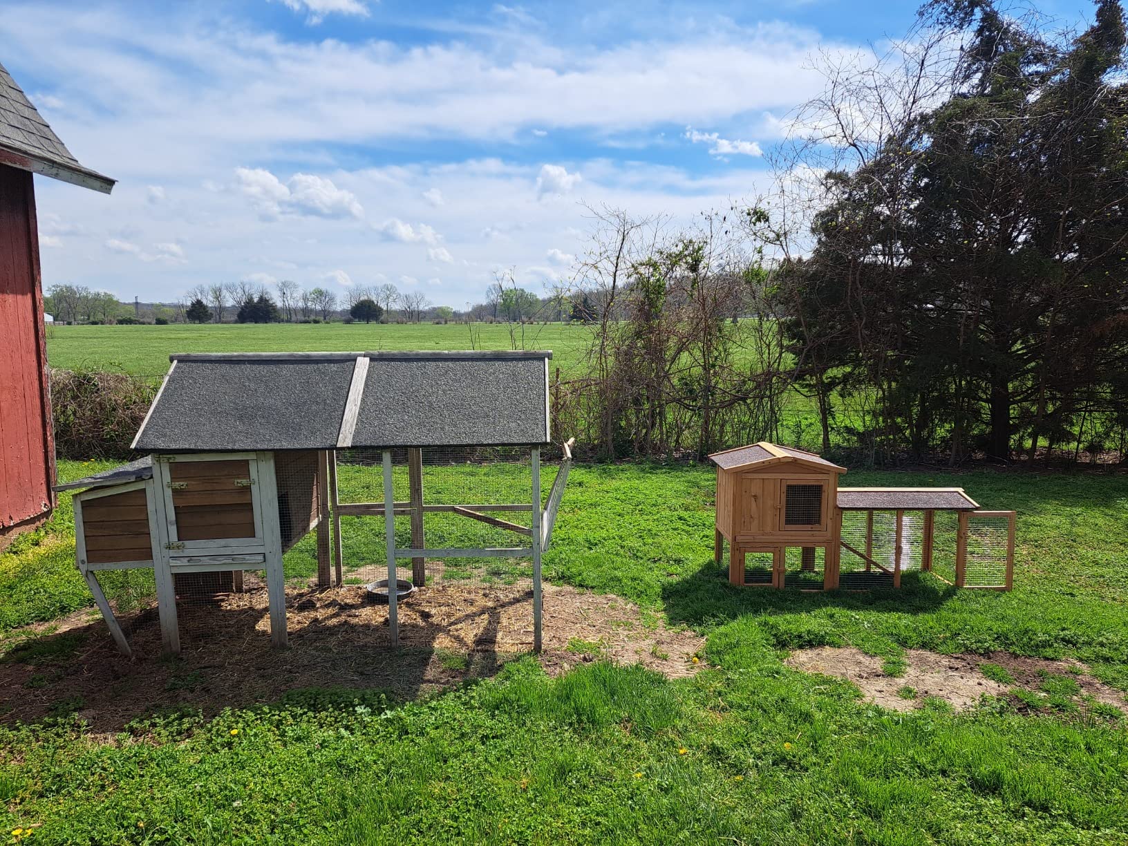 30/mo Finance Ogrmar Chicken Coop Large Wooden Outdoor Bunny Rabbit