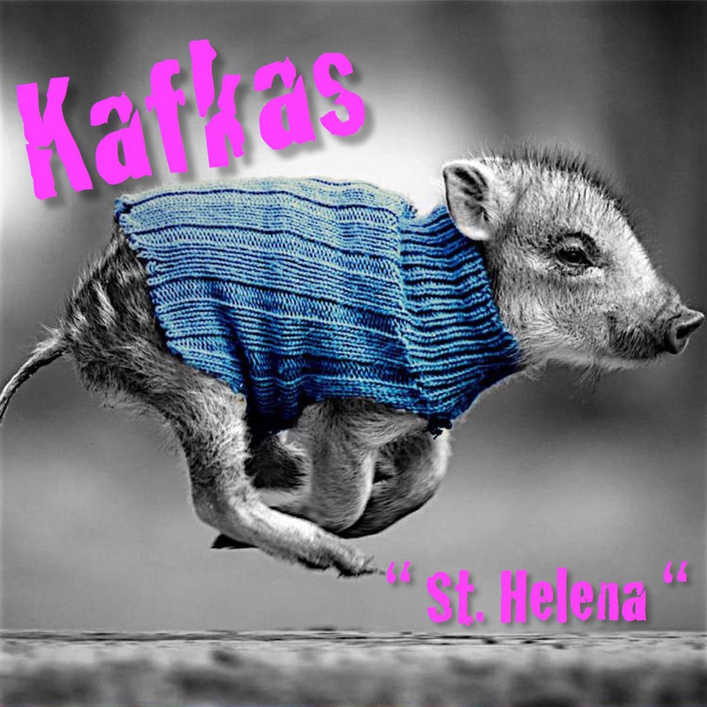 Kafkas