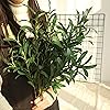 Product Photo 2