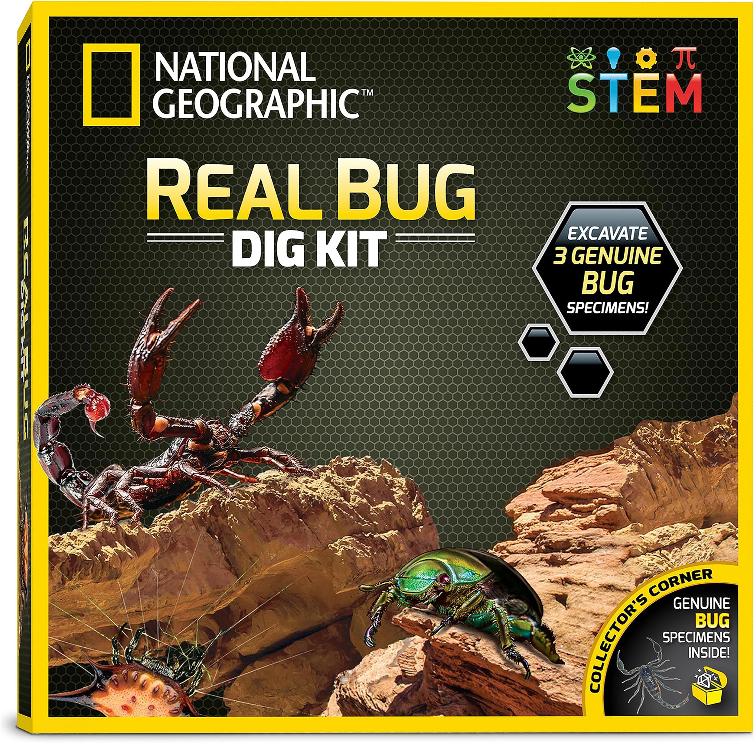 Blue Marble National Geographic Real Bug Dig Kit
