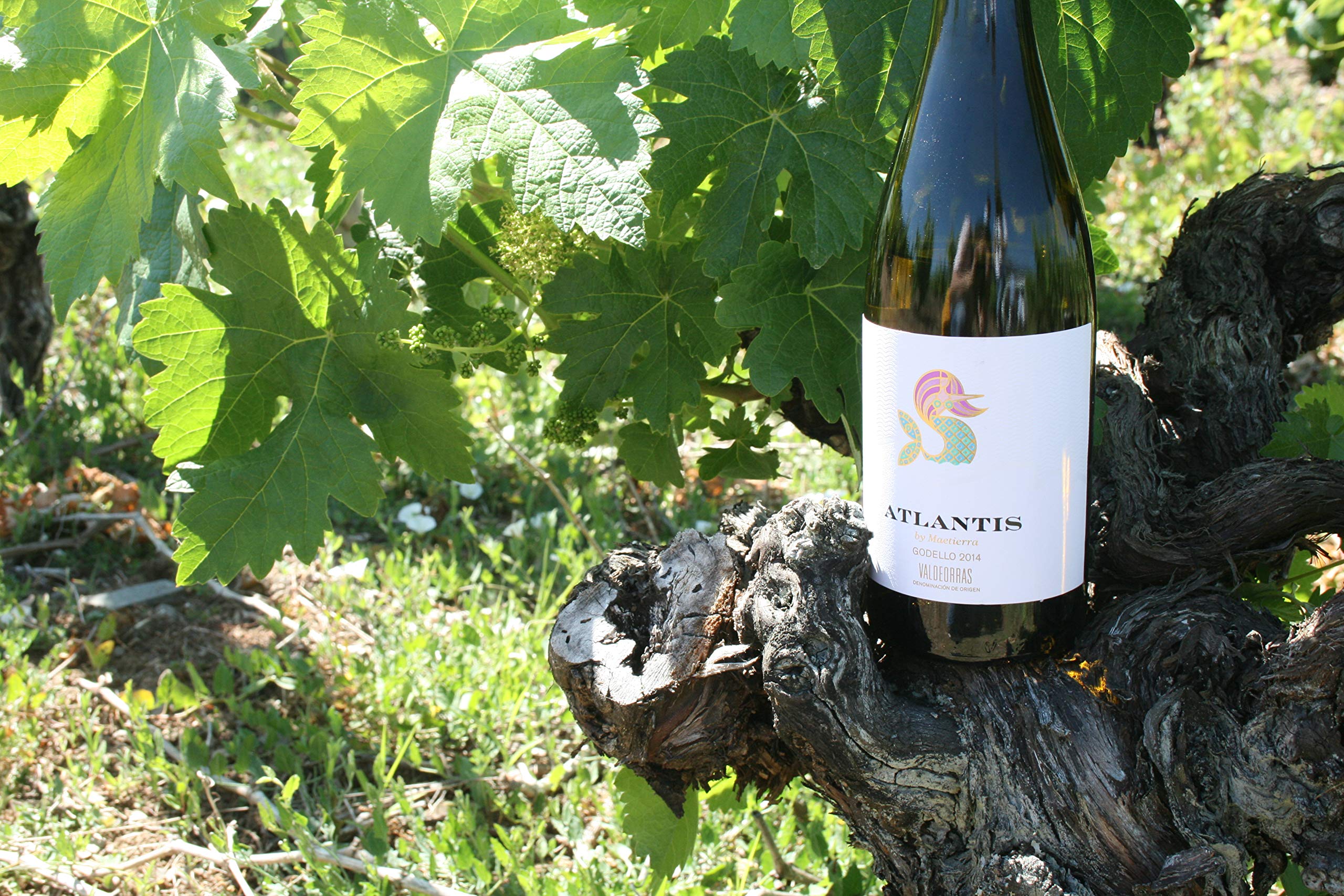 Atlantis Godello – 3 botellas de 0,75L-