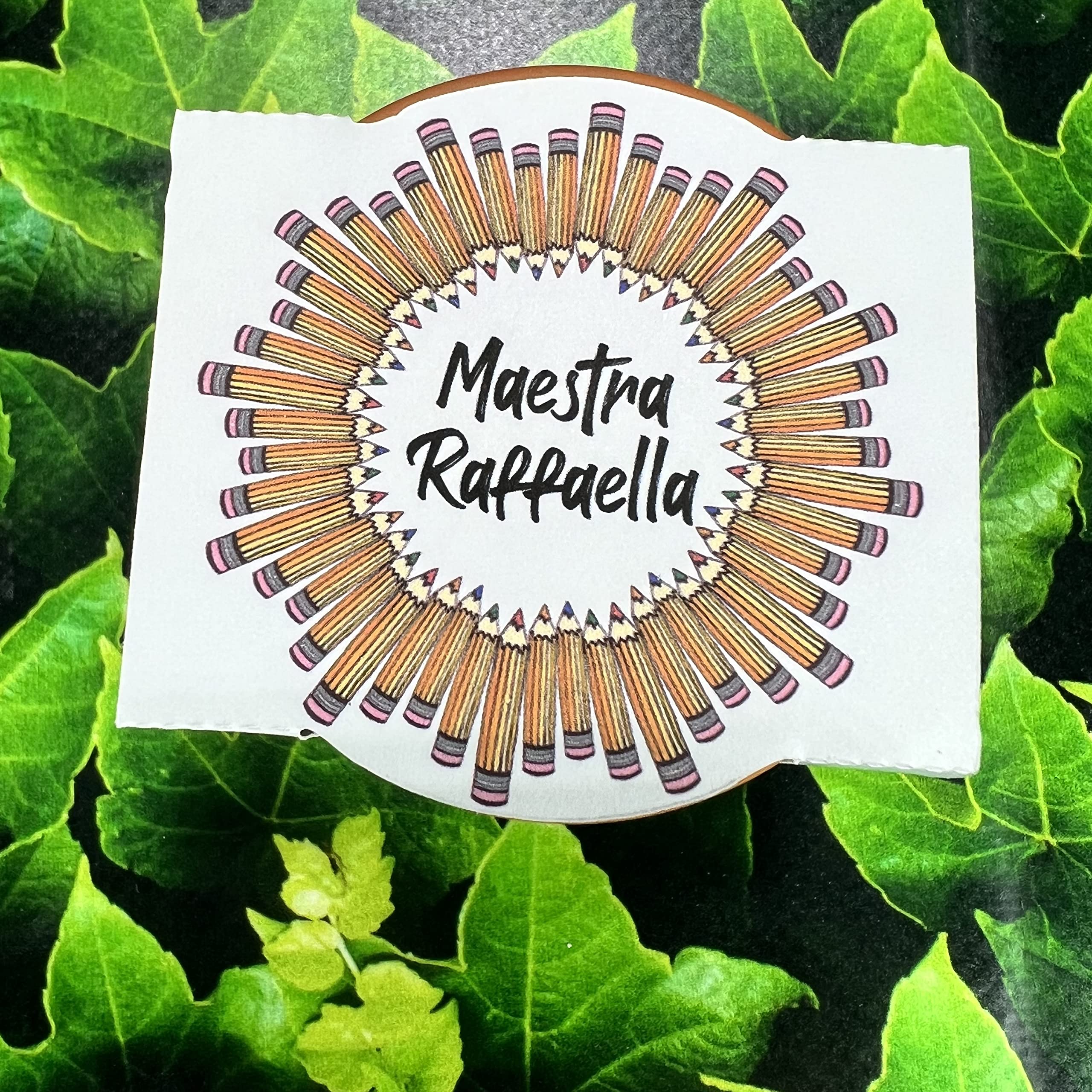Vaso in Terracotta con Semi Personalizzato – Regalo Maestra Fine Anno Scolastico o Ritorno a Scuola – Idee Ecologiche con Sementi Floreali e Aromatiche