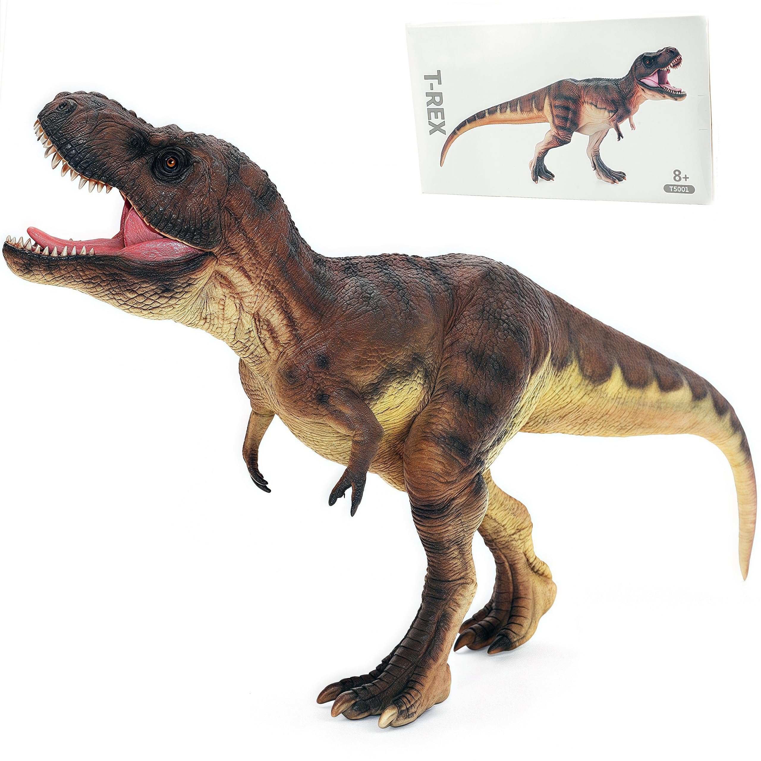 Amazon.co.jp: ふたご座&天才ティラノサウルスレックスアクション