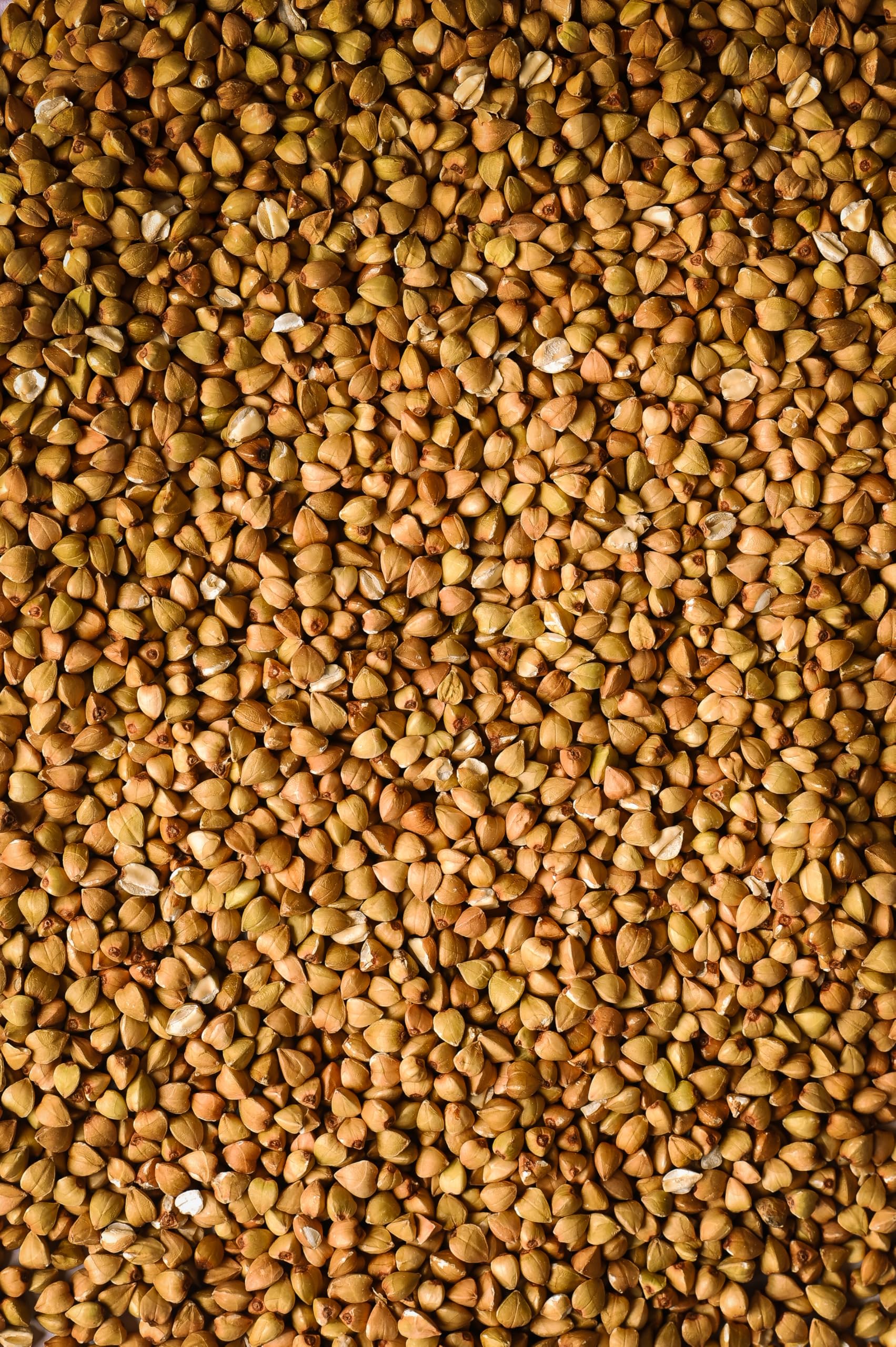 Biojoy BIO-Buchweizen (2,5 kg), roh und ganz, ohne Zusätze