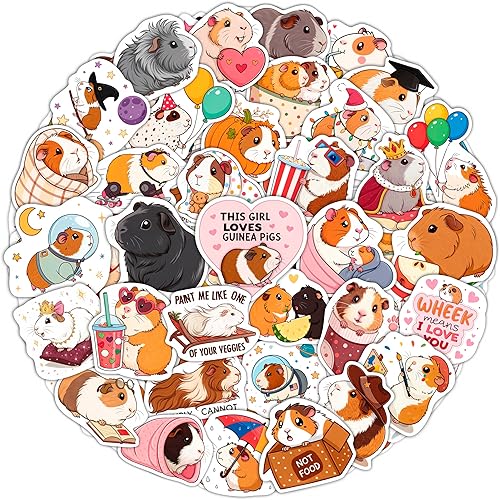 Vista 291 de BulbaCraft 100 calcomanías de meme de gato, divertidas calcomanías de gato, regalos para mujeres y hombres Gato Meme