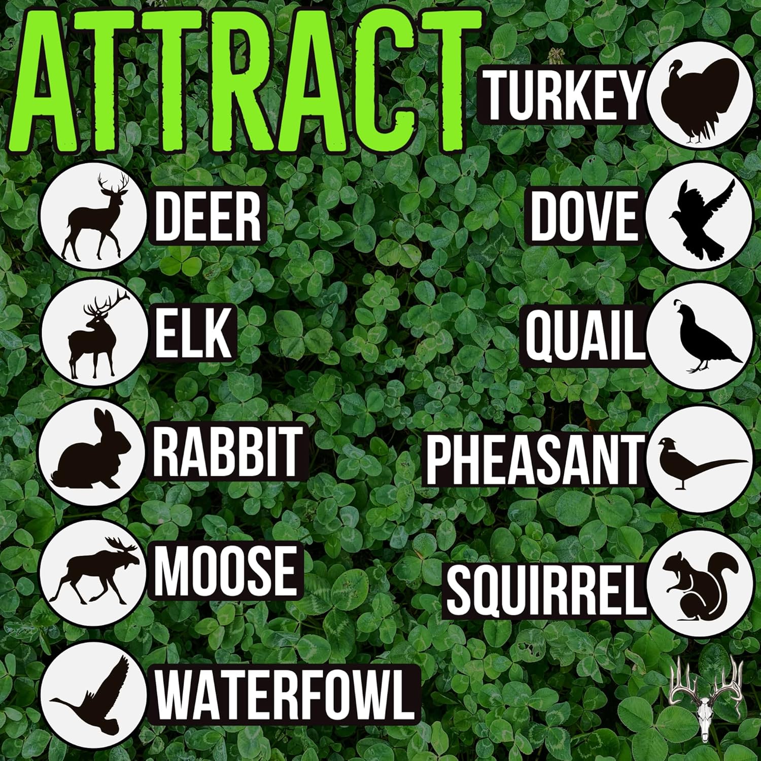 Crooked Bend Four Clover Combo Blend, 5LB, Perennial Food Plot Seed, Pheasant, Duck, Dove, Turkey, Elk & Whitetail Deer Hunting, Grows Wildlife Attractant in Shady Areas, No Till, Plants 0.45 Acre