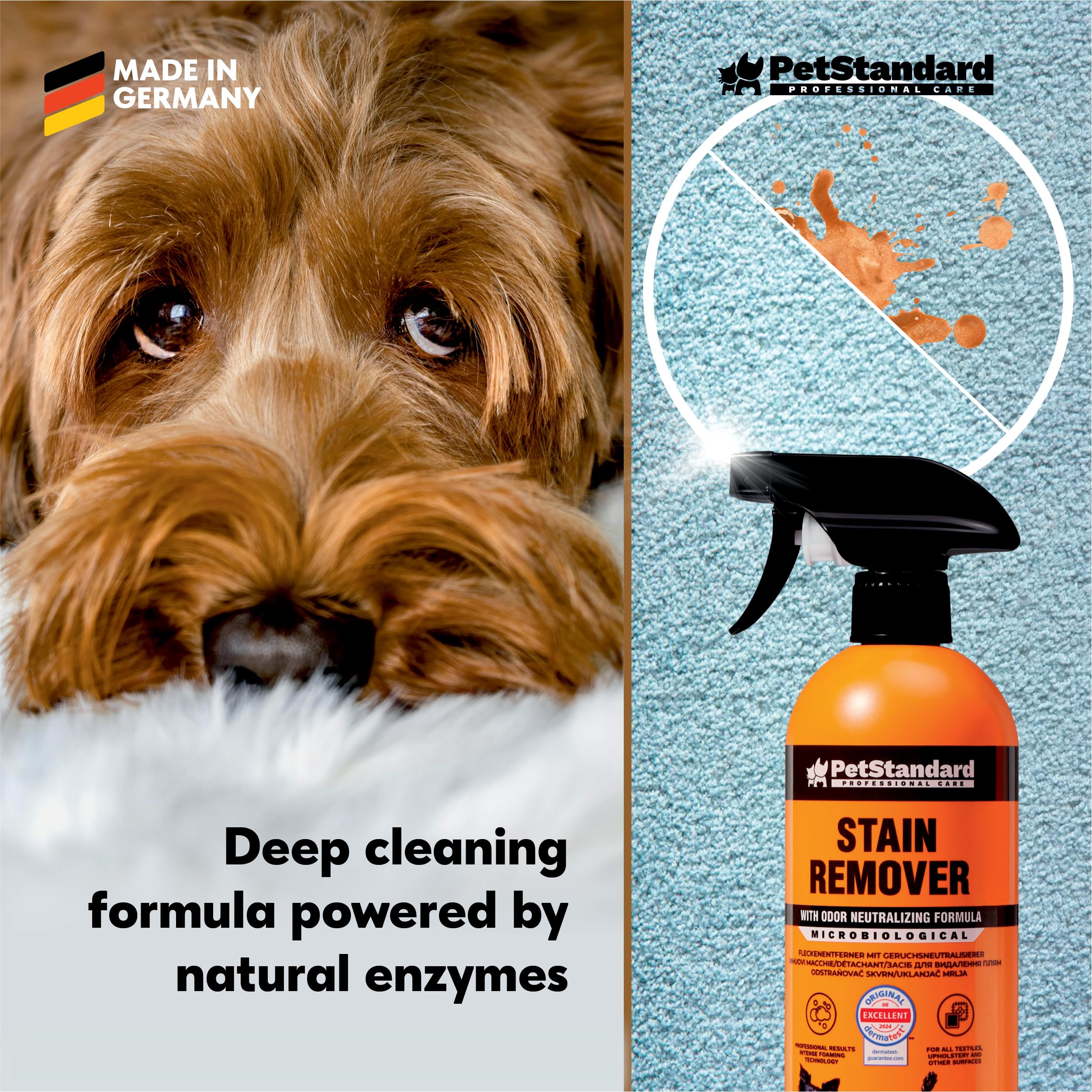 PetStandard Enzymatyczny środek czyszczący do moczu kota i moczu psa – środek do usuwania plam i zapachów do dywanów i tapicerek | ekstra siła piany | Made in Germany | 750 ml