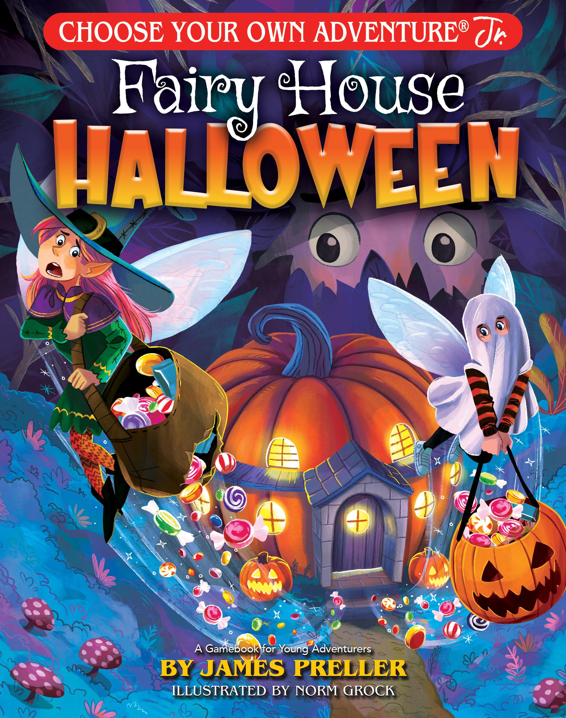 Fairy House Halloween by James Preller (Paperback Book)