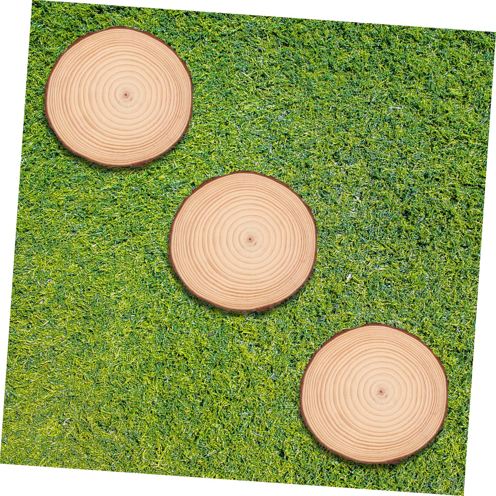 Pietre per Camminare Decorate e Resistenti Agli Agenti Atmosferici da Giardino 3 Pezzi in Legno Khaki per Vialetti Fai da Te e Pavimentazione Esterna