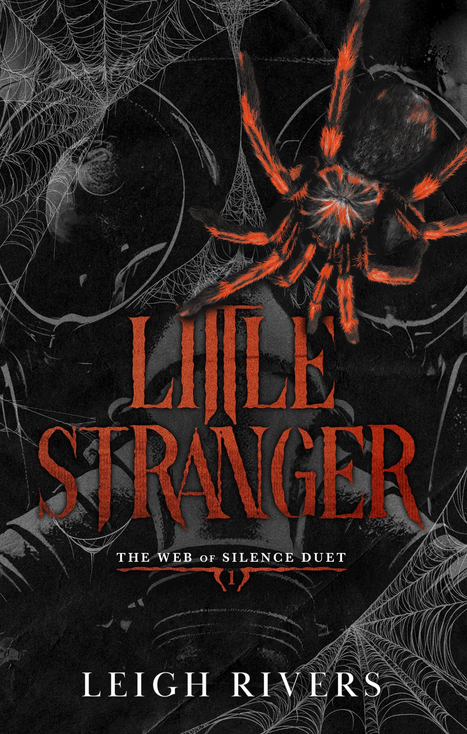 Little Stranger (Web of Silence)