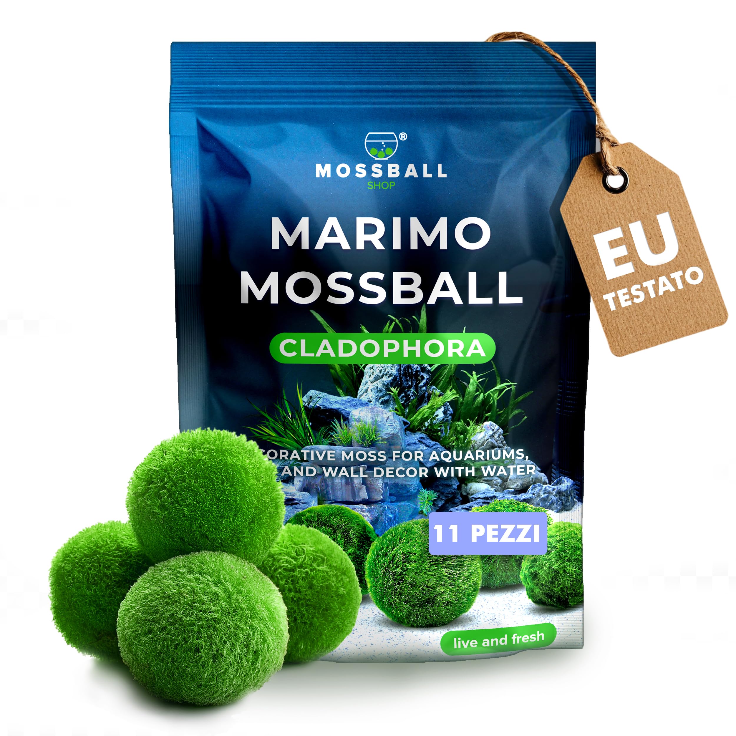 Marimo Alga Viva - 21 - Alga Palla Naturale per Acquario Piante Vere Acquario Acqua Dolce Ecosistema Autosufficiente Marimo Regalo, Moss Ball 2-4 cm per Nano e Grandi Acquari
