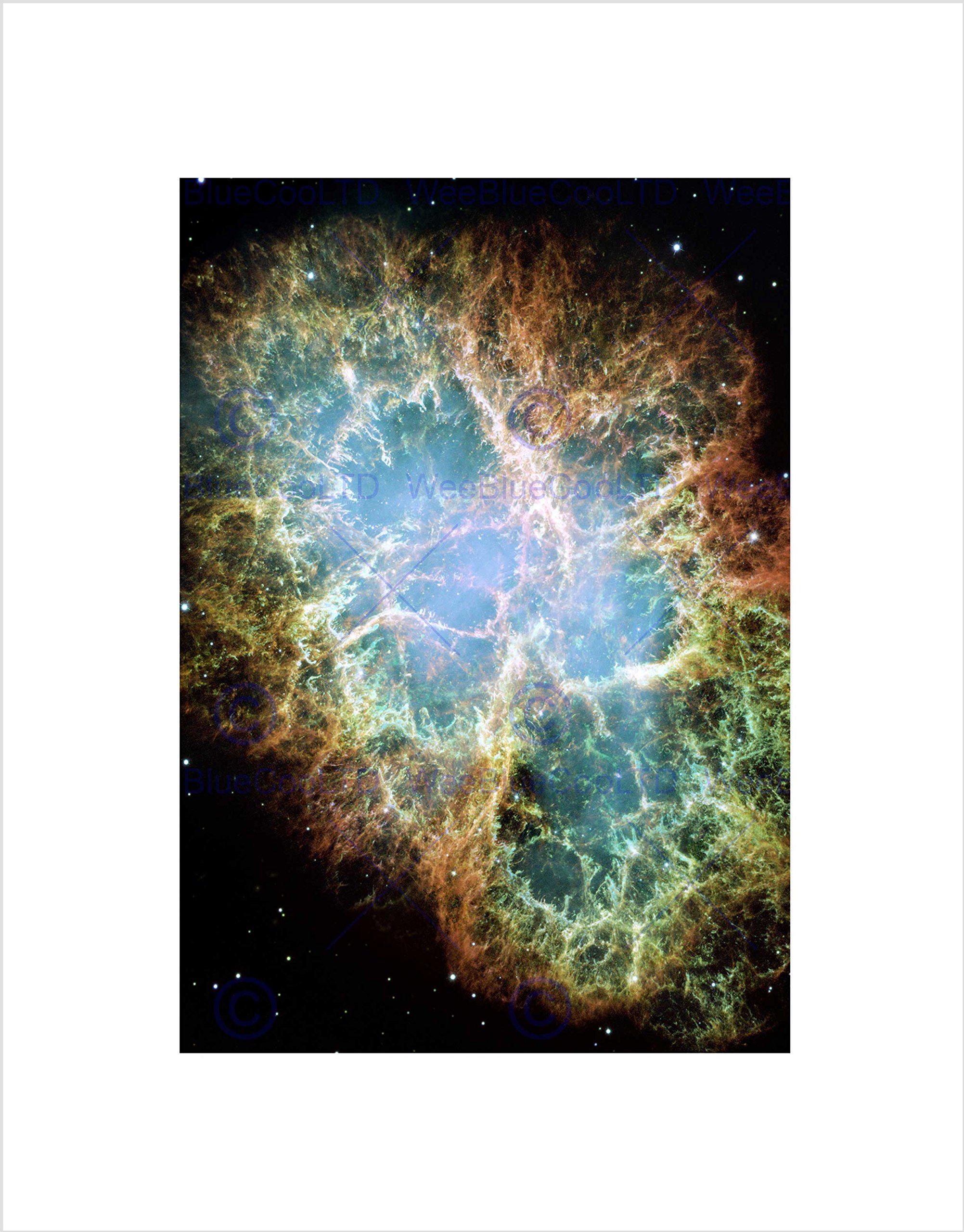 Wee Blue Coo Hubble Space Telescope Image Of The Crab Nebula Wall Art Print