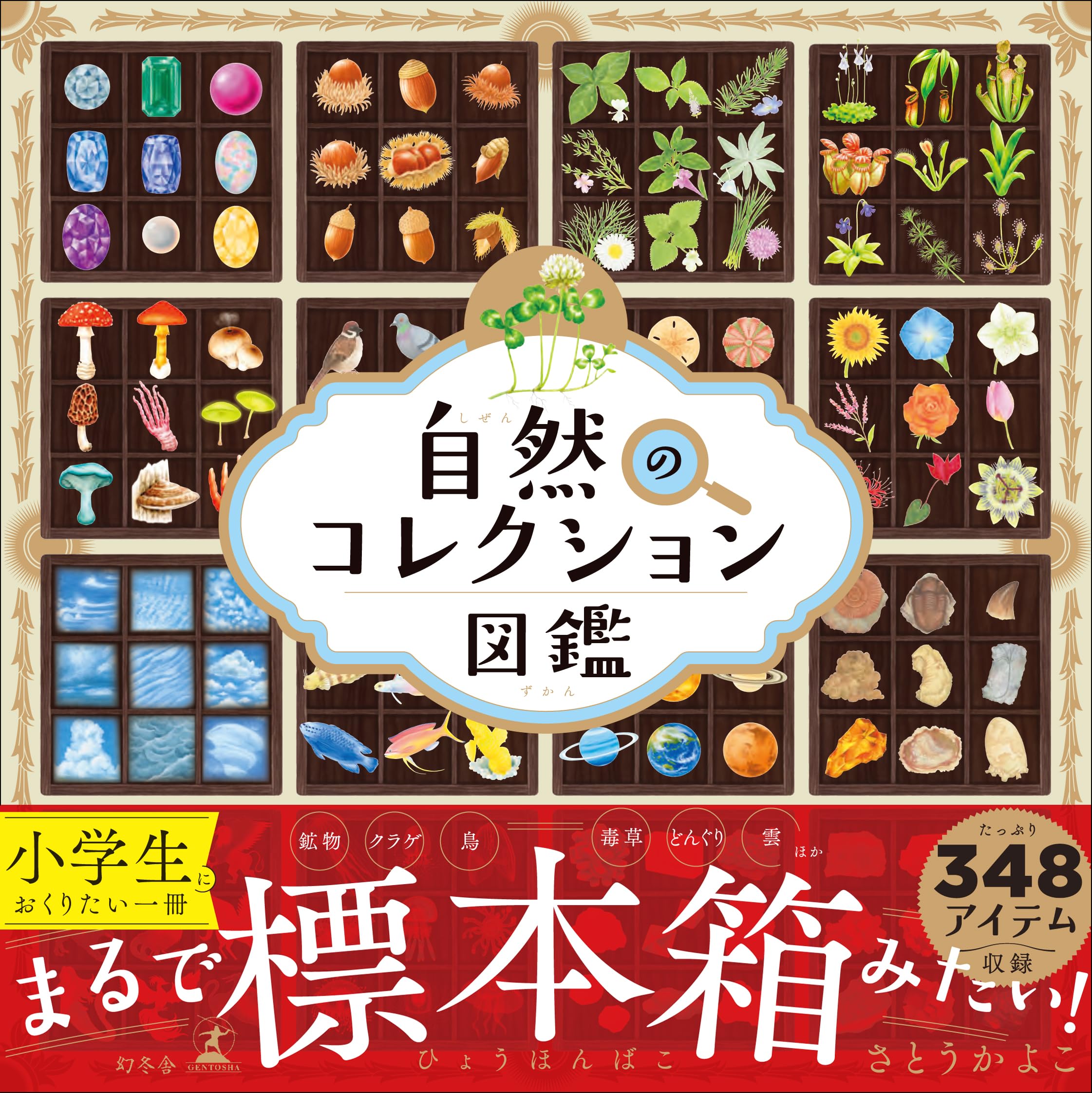 Amazon.co.jp: 自然のコレクション図鑑 : さとうかよこ: 本