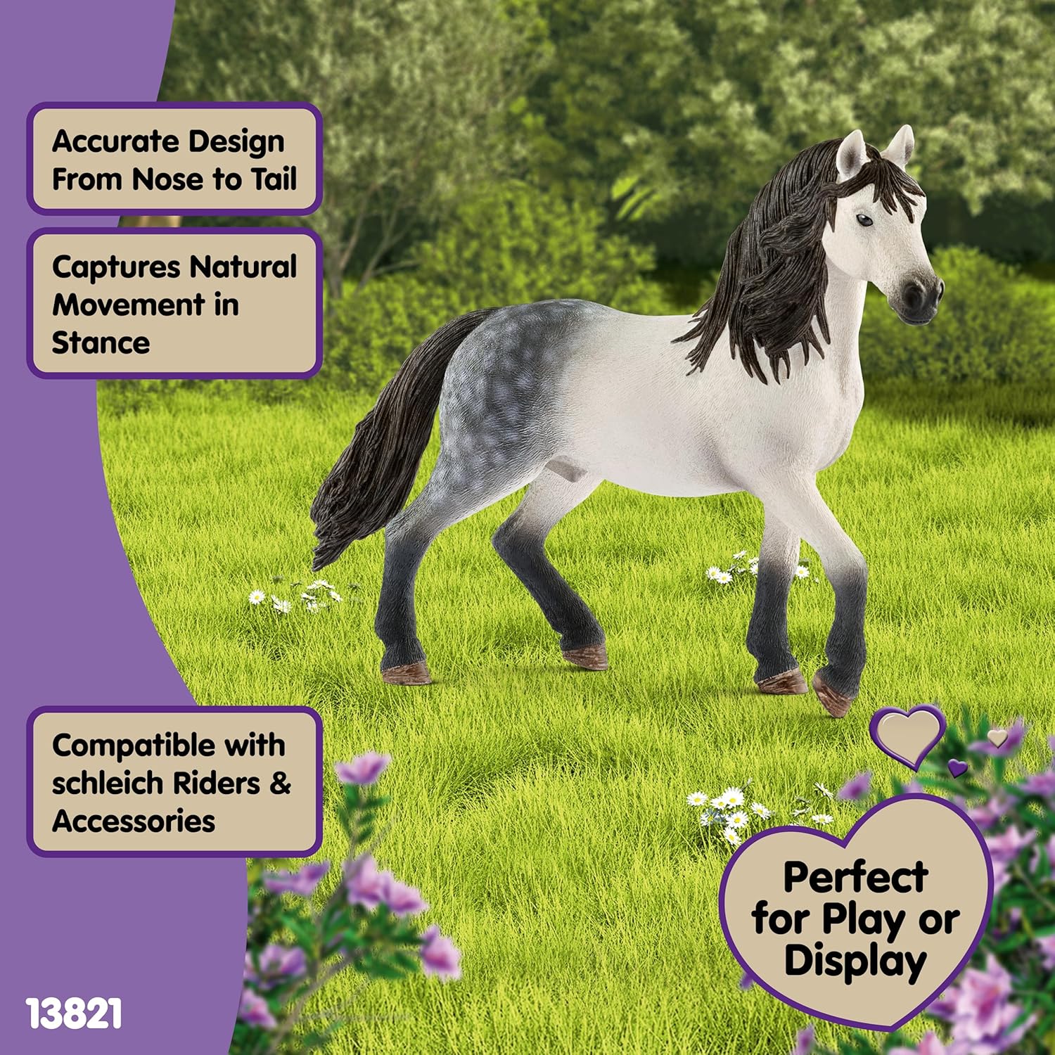 Andalusian stallion